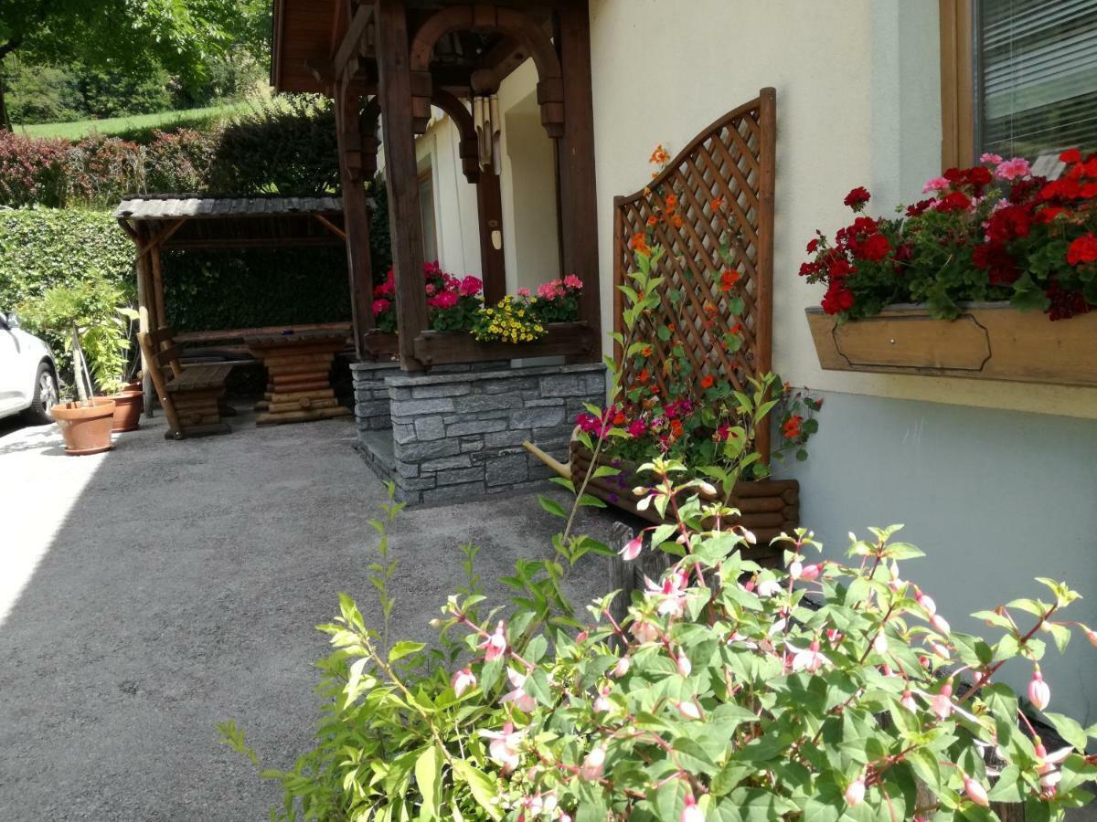 דירות Dellach im Drautal Haus Tonelehof מראה חיצוני תמונה